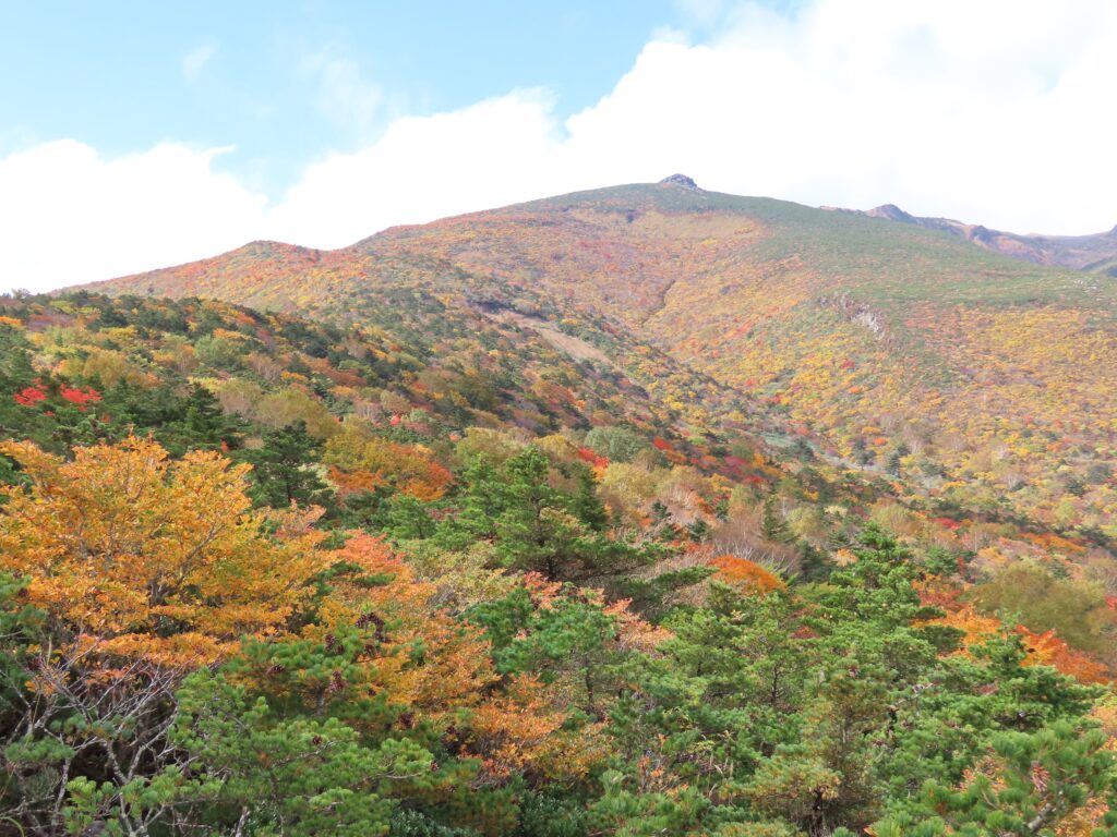 錦織りなす…安達太良山の紅葉 見ごろ